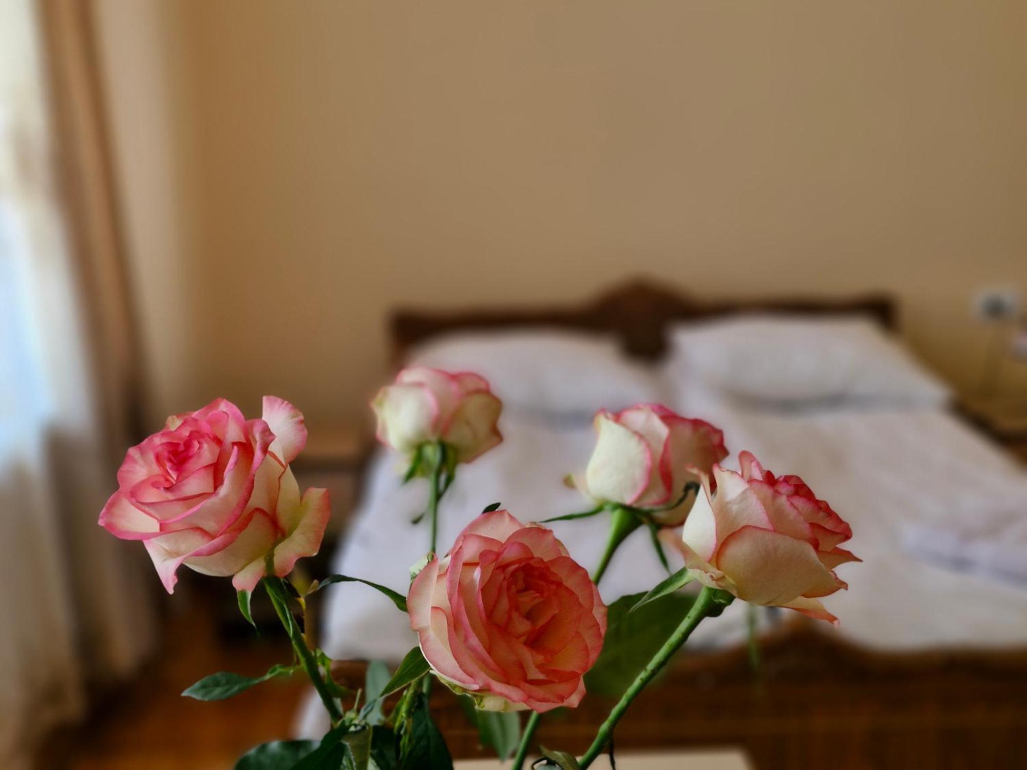 غيومري Guest House David'S B&B المظهر الخارجي الصورة